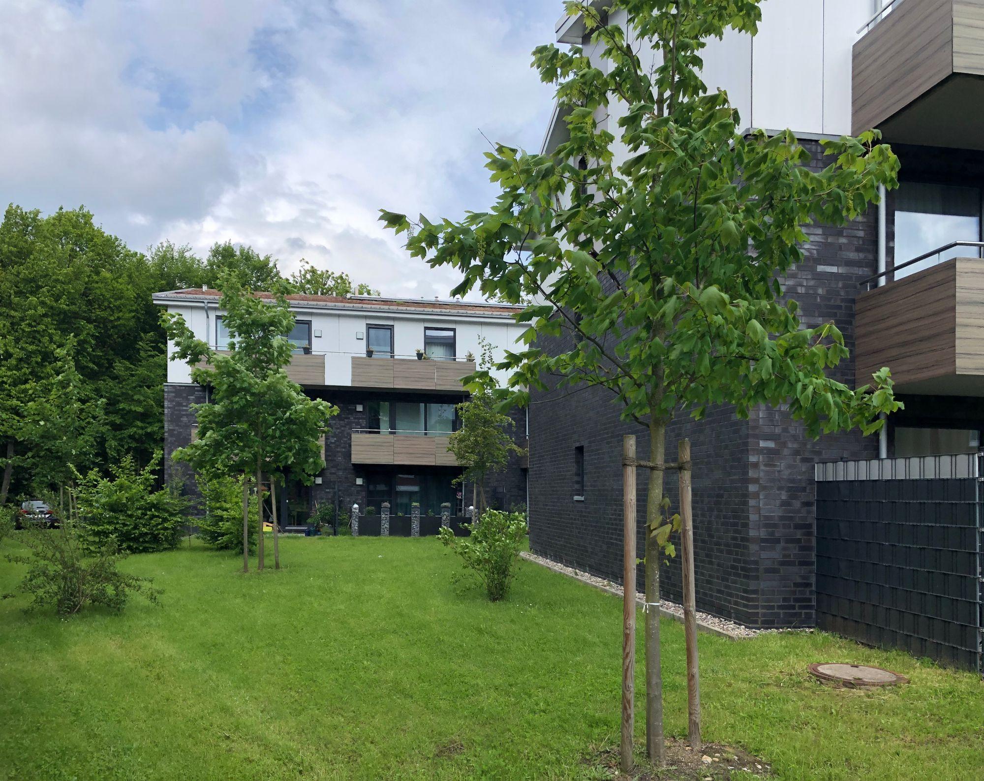 Projekt #13 Detail - Außenanlage